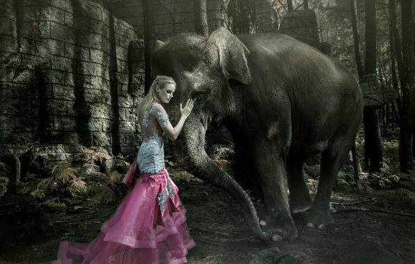 Картинка девушка, слон, ситуация