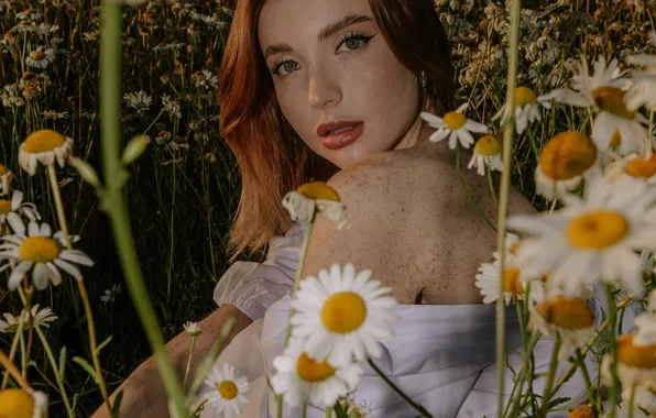 Поле, взгляд, ромашка, фотосессия, Кристина, Александра Кузнецова