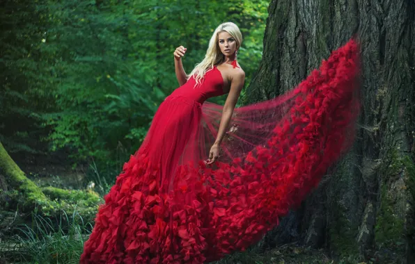 Картинка поза, дерево, модель, платье, красное платье