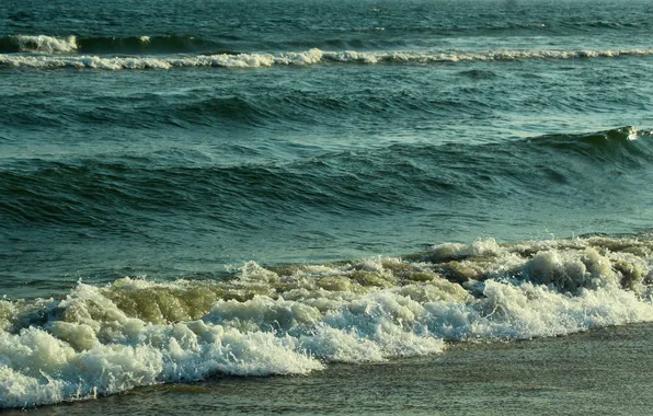 Beach, sea, water, wave, Baltic