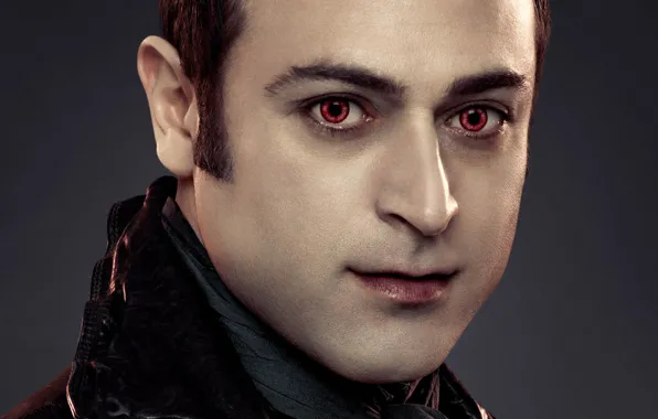 Взгляд, лицо, фон, вампир, мужчина, Сумерки Сага Рассвет, The Twilight Saga Breaking Dawn - Part …