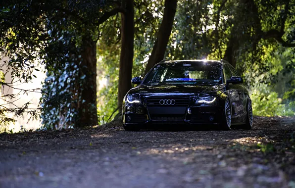 Audi, black, front, wagon, stance, avant