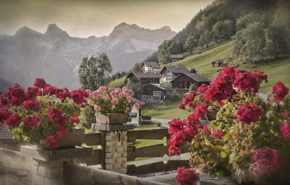 Цветы, горы, Австрия, деревня, Альпы, домики, Austria, Alps