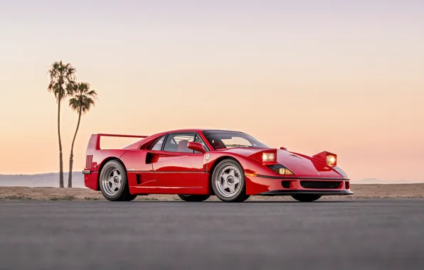 Red, F40, Evening, Wheels, Palm trees