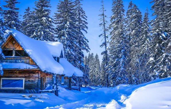 Картинка зима, дорога, лес, снег, деревья, дом, Россия, Хабаровский край