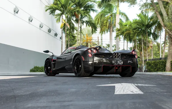 Pagani, Huayra, rear view, Pagani Huayra Roadster