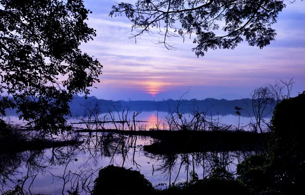 Sun, Water, Sunrise, Dawn, Morning, Lake, Trees, Reflection