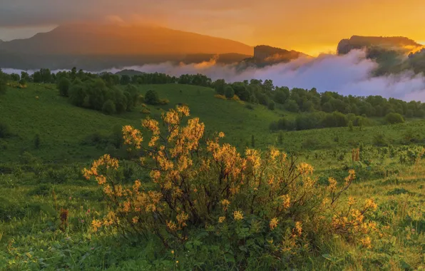 Картинка облака, пейзаж, закат, горы, природа, Кавказ, луга, Владимир Рябков