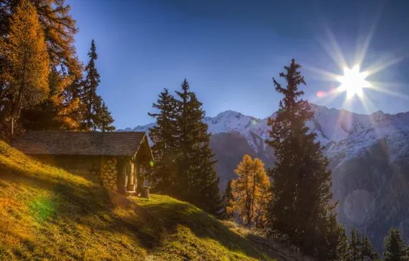Картинка деревья, горы, Швейцария, Альпы, домик, Switzerland, Alps