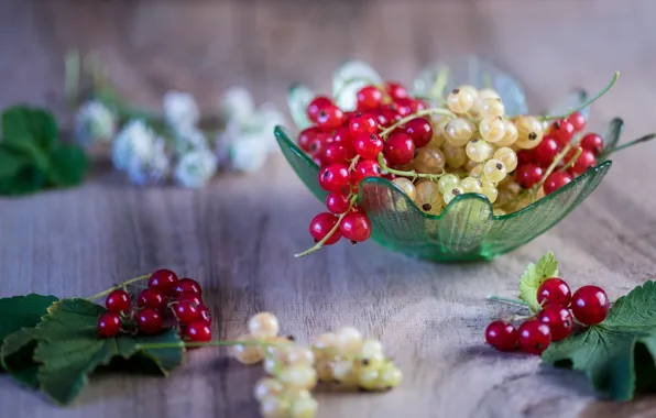 Ягоды, смородина, листики, вкусно, веточки, спелые