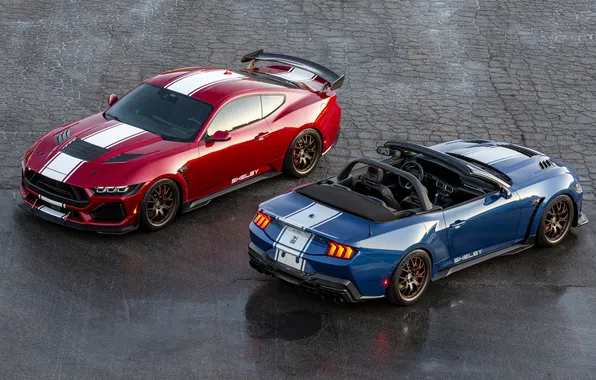 Картинка Mustang, Shelby, Shelby Super Snake, 2024, Shelby Super Snake Convertible