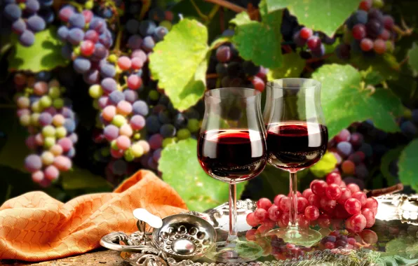 Листья, ветки, вино, красное, бокалы, виноград, поднос