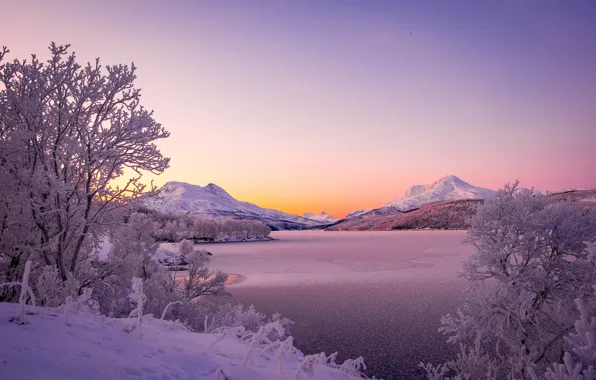 Картинка зима, деревья, горы, озеро, Норвегия, Norway, Скандинавские горы, Scandinavian Mountains