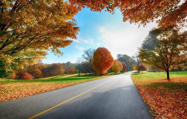 Картинка дорога, осень, пейзаж