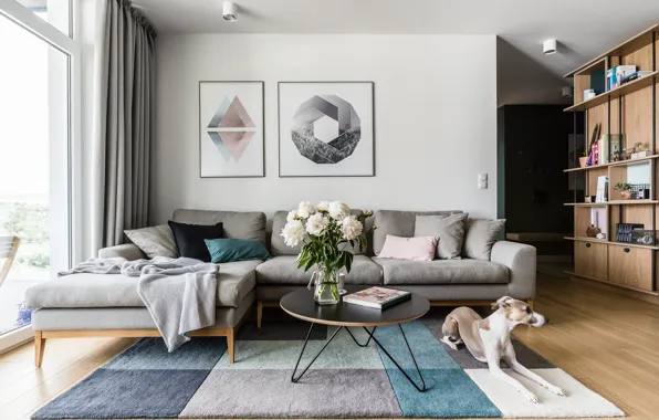 Картинка комната, Talosi Apartment, гостиная, интерьер