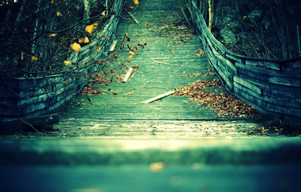Картинка осень, листья, ветки, мост, доски, желтые