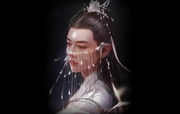 Украшения, арт, парень, китайский актёр, Сяо Чжань, Xiao Zhan