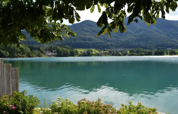 Вода, природа, озеро, фото, побережье, Австрия, St.Gilgen