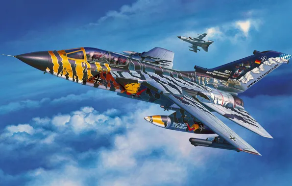 Картинка art, painting, jet, Tornado ECR &ampquot;Tigermeet 2011&ampquot;