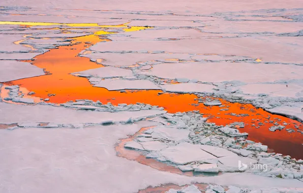 Картинка лед, вода, закат, отражение, Антарктика, полынья
