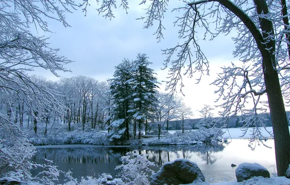 Картинка снег, камни, Деревья, водоем