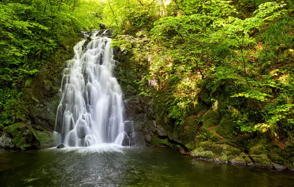 Картинка вода, деревья, природа, камни, водопад