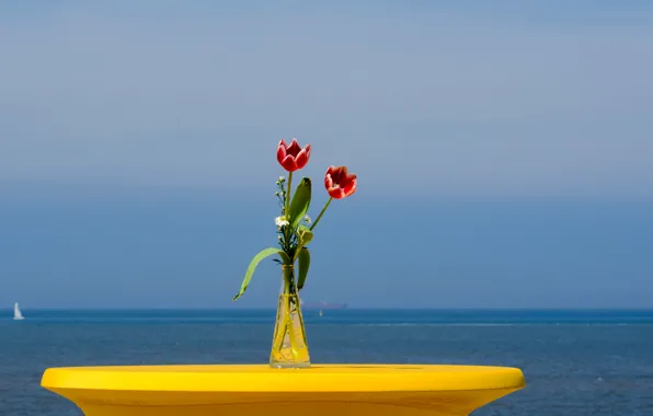 Картинка море, небо, цветы, яхта, тюльпаны, парус, ваза