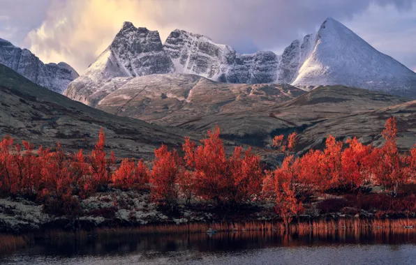 Осень, деревья, горы, панорама