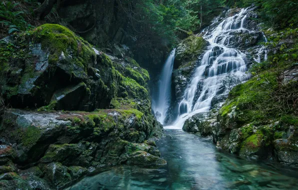 Вода, деревья, природа, скалы, водопад, мох, Канада, Canada