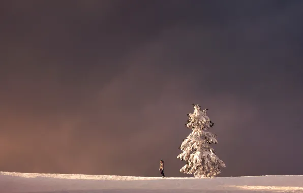 Зима, пейзаж, дерево, человек