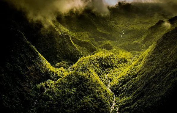 Картинка лес, горы, туман, река, фото