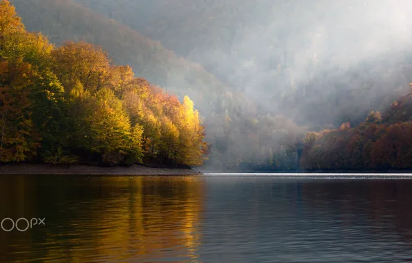 Осень, деревья, природа, река