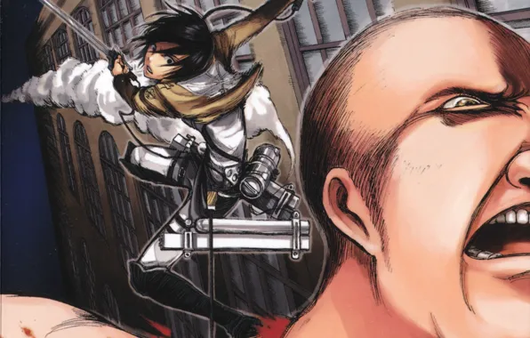 Кровь, ярость, ненависть, сражение, клинок, титан, вторжение гигантов, Shingeki no kyojin