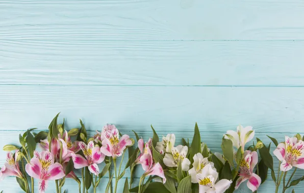 Цветы, colorful, wood, pink, flowers, beautiful, spring, lily