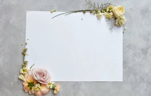Цветы, бумага, flowers, карточка, Backgrounds