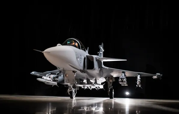 Gripen, next generation, JAS 39, Gripen NG, SAAB, JAS 39 Gripen