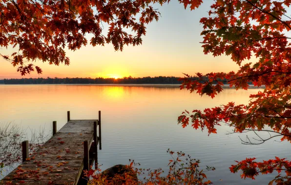 Картинка осень, лес, листья, солнце, деревья, ветки, река, рассвет