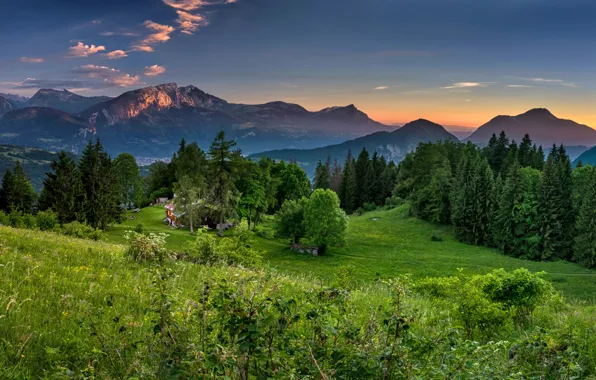 Картинка зелень, лес, лето, трава, деревья, закат, горы, Франция