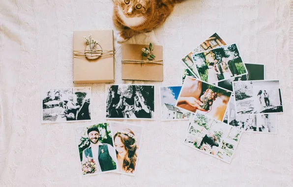 Love, cat, photos, pictures, memories