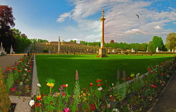 Картинка трава, цветы, дизайн, город, фото, газон, ландшафт, Германия