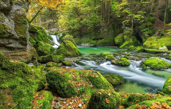 Картинка осень, лес, листья, деревья, ручей, камни, водопад, мох