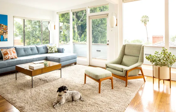 Интерьер, гостиная, Los Feliz, mid-сentury modern