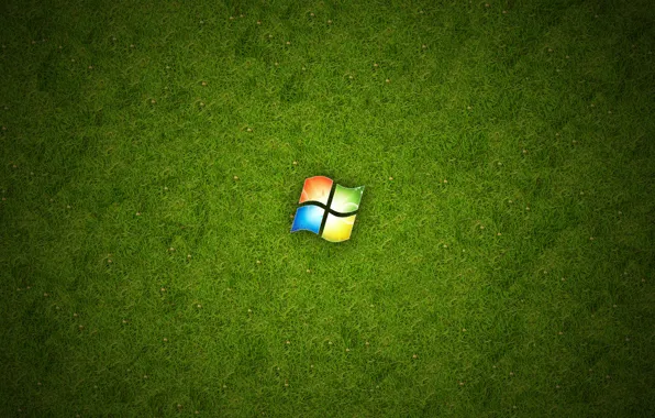 Картинка трава, зеленый, Windows