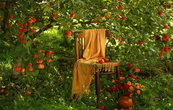 Картинка природа, дерево, яблоки, травы
