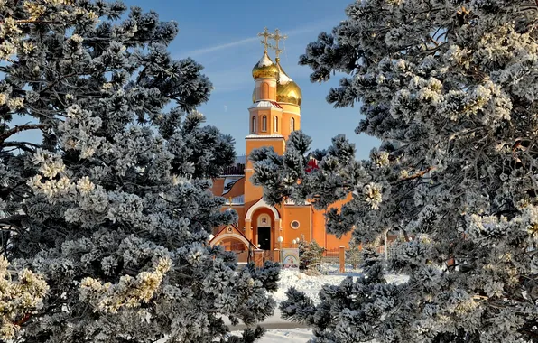 Картинка зима, снег, деревья, ель, церковь, собор, купол, сосна