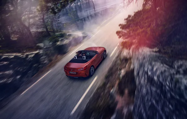 Картинка дорога, красный, движение, скалы, скорость, BMW, родстер, BMW Z4