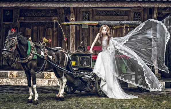 Картинка девушка, конь, лошадь, платье, повозка, азиатка, невеста, кляча