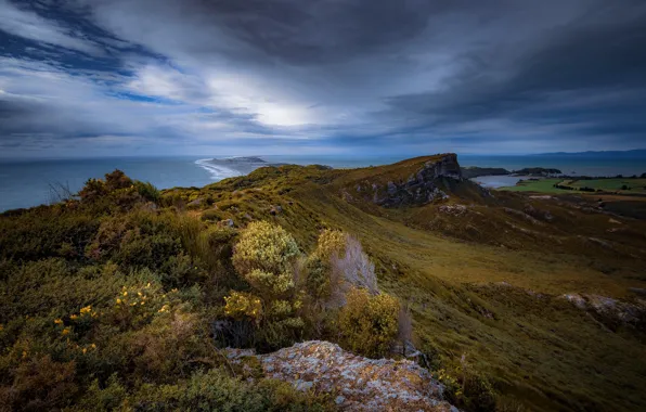 Картинка Новая Зеландия, New Zealand, Tasman, Puponga