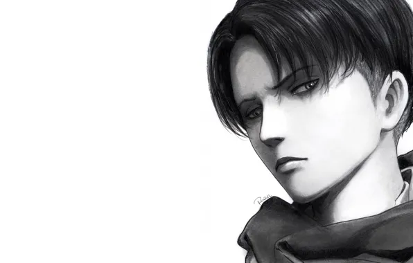 Взгляд, арт, белый фон, парень, Атака Титанов, Shingeki No Kyojin, Леви Аккерман, Леви