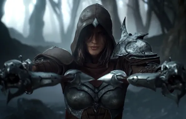 Капюшон, Броня, Demon hunter, Охотница на демонов, Diablo Immortal, Латы, Арбалеты